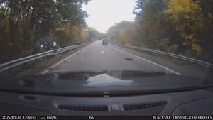 Дикий обломок опрокидывания на Южном берегу госпитализирован