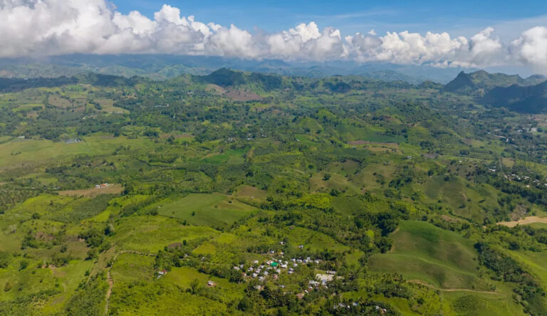 Представители дикой природы в восторге от того, что впервые за многие годы обнаружили редкого хищника, питающегося обезьянами: «Vital»