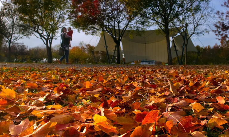 Когда это будет ощущаться и выглядеть как падение в Калифорнии? Вот когда начинается осень 2025 года