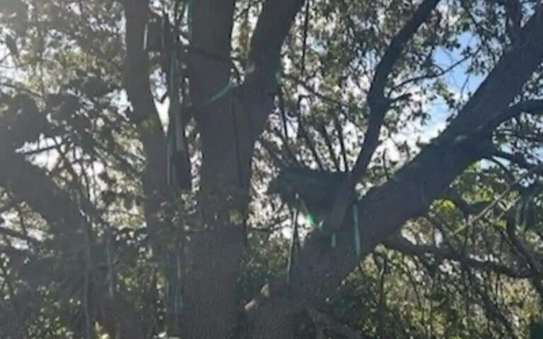 «Гнездо снайпера» найдено в зоне посадки Air Force One