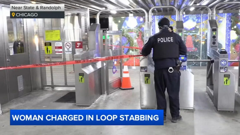 Женщина, обвиненная после 4 нападений в Лупе, в том числе в поезде CTA, со стеклянной бутылкой