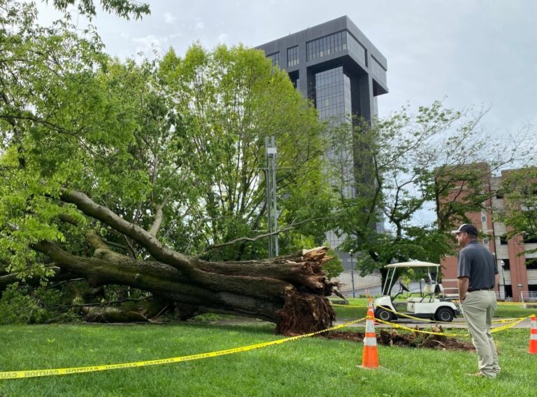 Год в обзоре: Топ-10 Озаркс Первые истории, которые привлекли наибольшее количество читателей