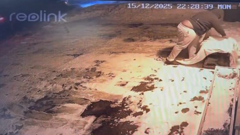 «Один из худших случаев пренебрежения»: начальник полиции просит помощи у людей после того, как собака была брошена