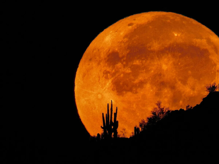 Когда полнолуние 2026 года? Даты, времена, имена, суперлуния