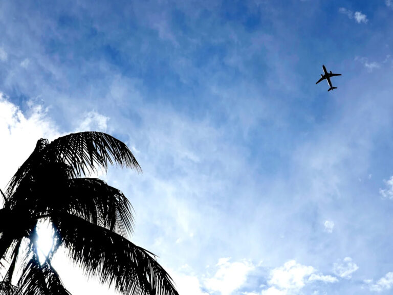 Почему коммерческий самолет должен был «объехать» Палм-Бич